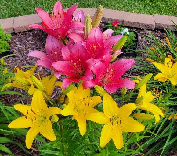 Six Stone Jars Married Couples Retreats Six Stone Jars Mission